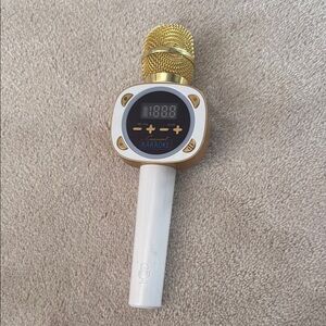 Carpool Karaoke Microphone